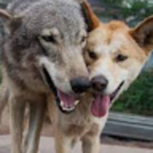 Meet your Posher, Chloe